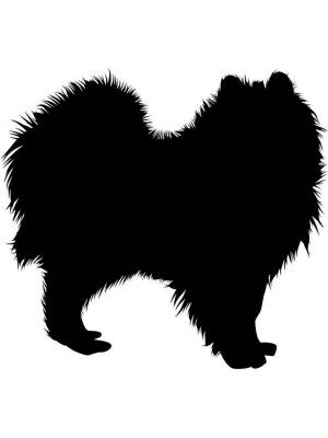 Трафареты Шпица