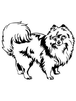 Трафареты Шпица