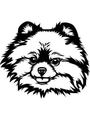 Трафареты Шпица