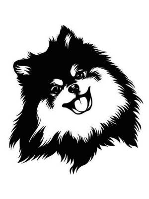 Трафареты Шпица