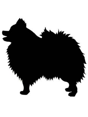 Трафареты Шпица