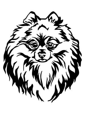 Трафареты Шпица