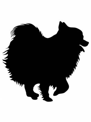 Трафареты Шпица