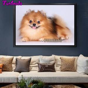 5D DIY алмазная живопись, шаблоны с животными померанского шпица, вышивка бисером, квадратная