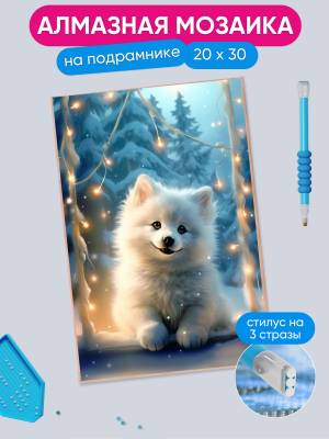 Алмазная Мозаика Полная Выкладка Шпиц