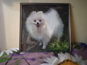 ZOOYA DIY 5D Полная дрель Алмазная картина Животное Собака Вышивка Крестом Мозаика Главная Декор Подарок