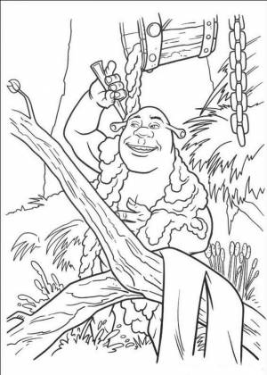 Free Printable Shrek Coloring Pages For Kids