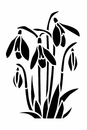 Трафареты Подснежника