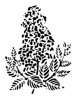 Трафареты Сирени