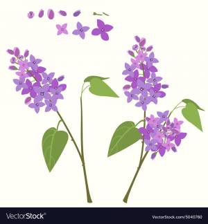 Трафарет ветки сирени