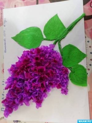 Детский мастер-класс по аппликации из гофрированной бумаги «Веточка сирени»