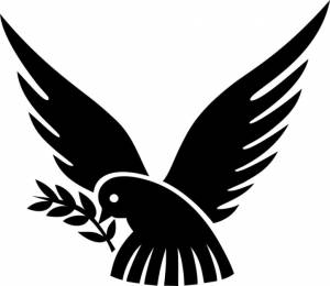 Трафареты птиц