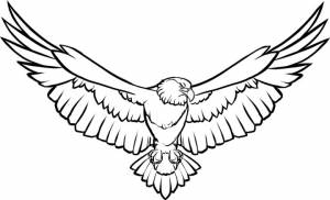 Трафареты птиц