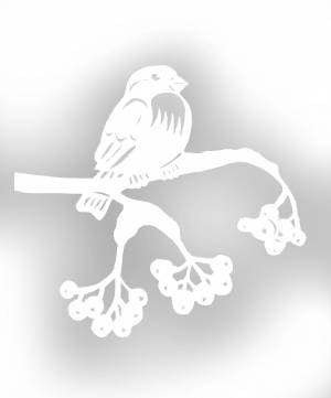 Пин от пользователя Леля на доске Птицы