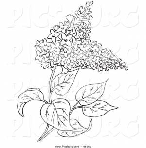 Трафареты сирени для вырезания