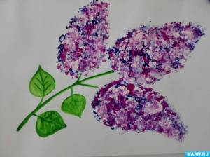 Конспект занятия по ИЗО в старшей группе «Веточка сирени»