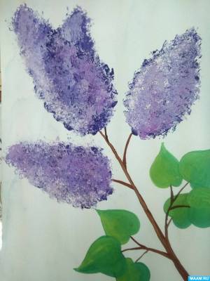 Конспект занятия по рисованию с использованием оттиска поролона в подготовительной группе «Веточка сирени»