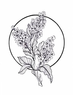 Трафареты сирени для вырезания