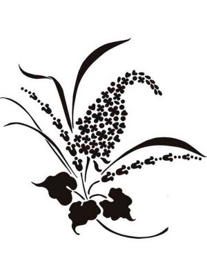 Трафареты Сирени