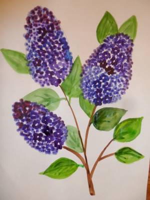 Как нарисовать сирень ватными палочками