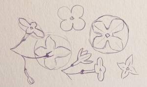 Как нарисовать сирень