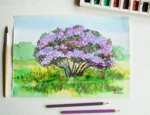 Куст сирени рисунок детский