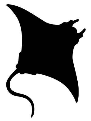 Трафареты Ската