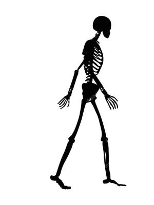 Трафареты Скелета