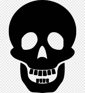 Череп Человеческий скелет Силуэт, череп, лицо, голова png