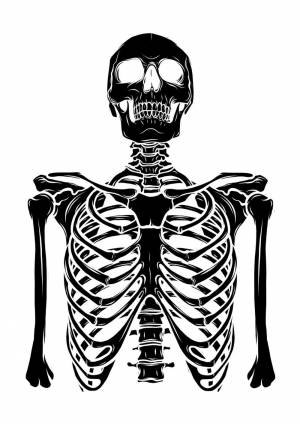 Трафареты Скелета