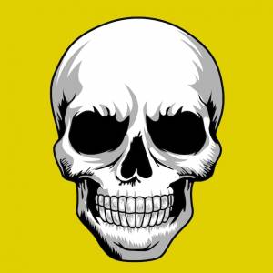 Эскиз векторной иллюстрации скелета головы человека