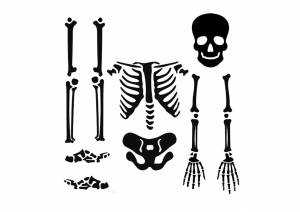 Трафареты Скелета