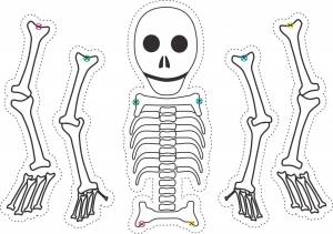 Кости трафарет