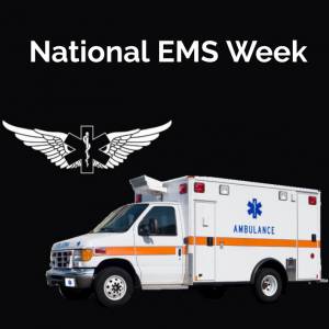 Шаблон о национальной неделе Ems