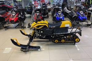 Снегоход IRBIS Dingo T150 б