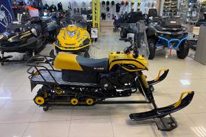 Снегоход IRBIS Dingo T150 б