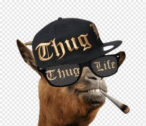 Thug Life Интернет-видео, снуп дог, знаменитости, шляпа, мем png