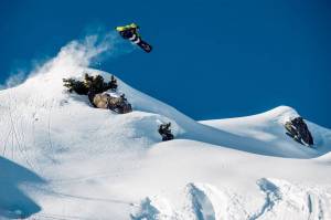 Bataleon CAMEL TWO 2020