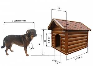 Будка для ДВОРНЯЖКИ своими руками