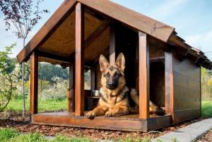 Будка с подогревом, теплый пол для собаки на зиму