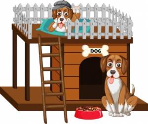 Две собаки сидят у собачьей будки