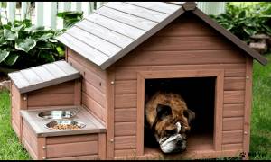 Будка для собаки