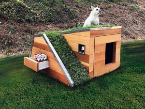 ▶ Как сделать будку для собаки своими руками
