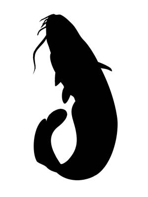 Трафареты Сома