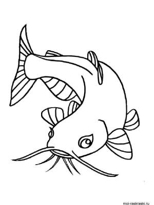 Раскраски Сом