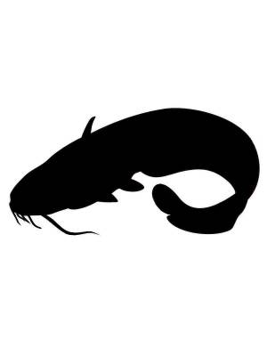 Трафареты Сома