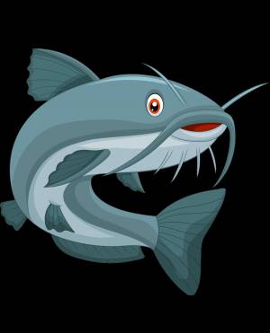 Раскраска сом