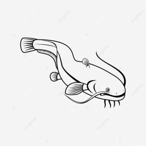 Иллюстрация в стиле ретро сома также называемого сомом PNG , белый, виды, родной PNG картинки и пнг рисунок для й загрузки