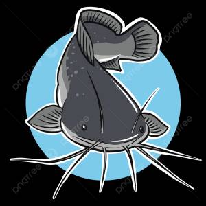 тупой сом PNG , сангкурианский сом, пескадо, сом PNG картинки и пнг рисунок для й загрузки