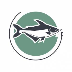 Иллюстрационный вектор сома пангас для шаблона дизайна логотипа ресторана  рыболовного клуба
